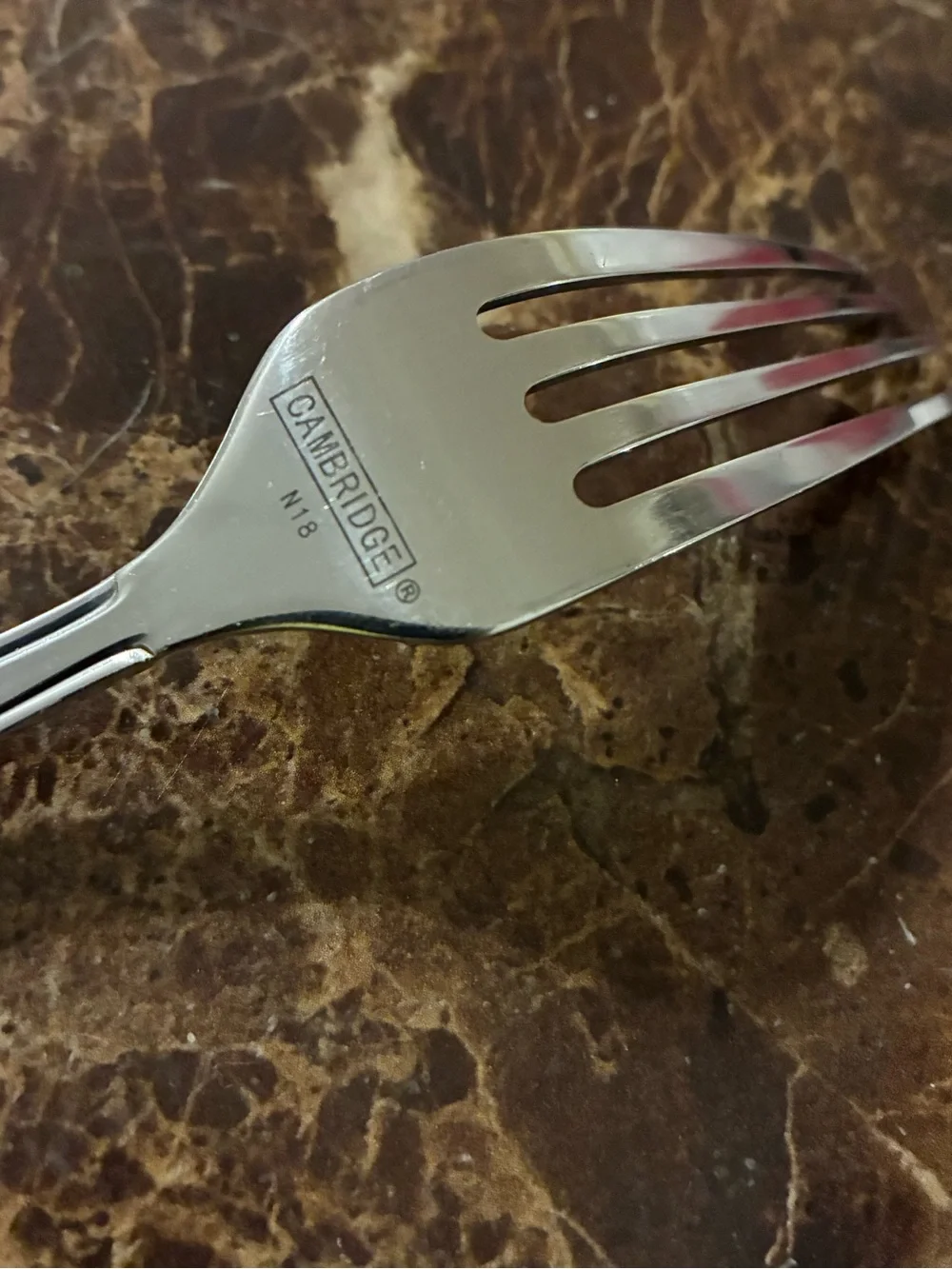 Stainless Steel Satin Handle Dinner Knife and Dinner Fork Cambridge